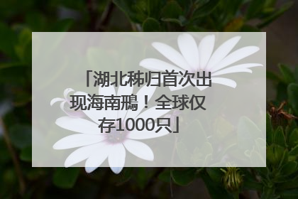 湖北秭归首次出现海南鳽！全球仅存1000只