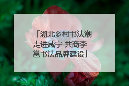 湖北乡村书法潮走进咸宁 共商李邕书法品牌建设