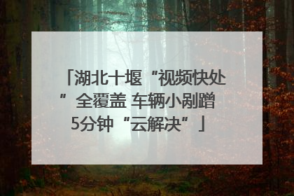 湖北十堰“视频快处”全覆盖 车辆小剐蹭5分钟“云解决”