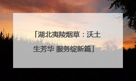 湖北夷陵烟草：沃土生芳华 服务绽新篇