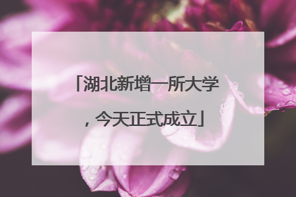 湖北新增一所大学，今天正式成立