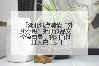 湖北试点聘请“外卖小哥”担任食品安全监督员，襄阳首批11人已上岗