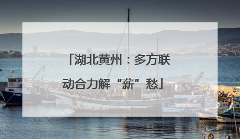 湖北黄州：多方联动合力解“薪”愁