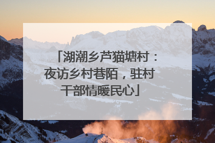 湖潮乡芦猫塘村：夜访乡村巷陌，驻村干部情暖民心