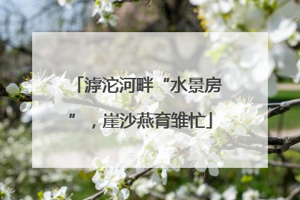滹沱河畔“水景房”，崖沙燕育雏忙