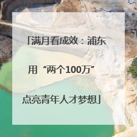 满月看成效：浦东用“两个100万”点亮青年人才梦想