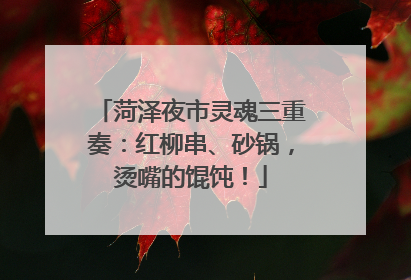 菏泽夜市灵魂三重奏：红柳串、砂锅，烫嘴的馄饨！