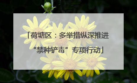 荷塘区：多举措纵深推进“禁种铲毒”专项行动