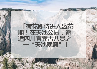 荷花即将进入盛花期！在天池公园，邂逅四川宜宾古八景之一“天池晚照”