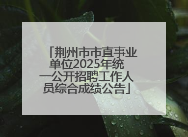 荆州市市直事业单位2025年统一公开招聘工作人员综合成绩公告