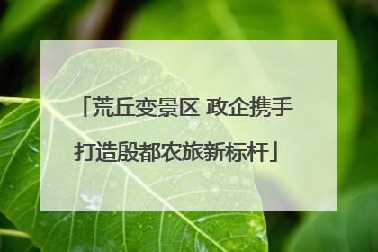 荒丘变景区 政企携手打造殷都农旅新标杆