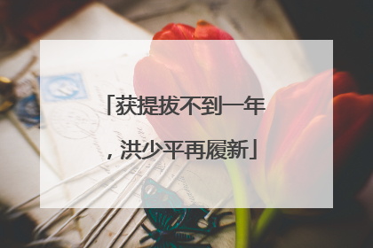 获提拔不到一年，洪少平再履新