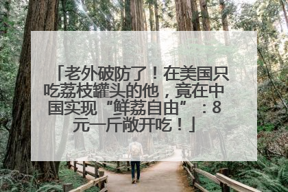 老外破防了！在美国只吃荔枝罐头的他，竟在中国实现“鲜荔自由”：8元一斤敞开吃！