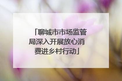 聊城市市场监管局深入开展放心消费进乡村行动