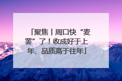 聚焦丨周口快“麦罢”了！收成好于上年、品质高于往年