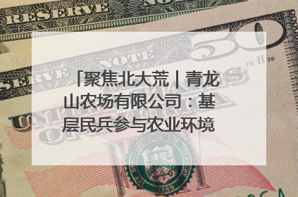 聚焦北大荒｜青龙山农场有限公司：基层民兵参与农业环境综合治理显效