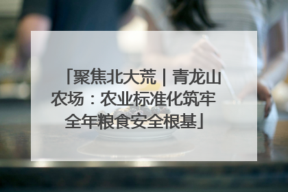 聚焦北大荒｜青龙山农场：农业标准化筑牢全年粮食安全根基