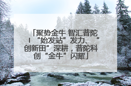 聚势金牛 智汇普陀〡“始发站”发力、“创新田”深耕，普陀科创“金牛”闪耀