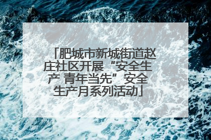 肥城市新城街道赵庄社区开展“安全生产 青年当先”安全生产月系列活动
