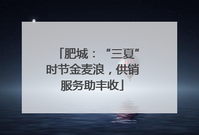 肥城：“三夏”时节金麦浪，供销服务助丰收