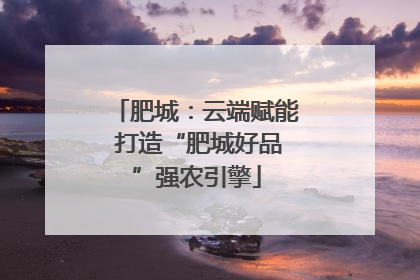 肥城：云端赋能 打造“肥城好品”强农引擎