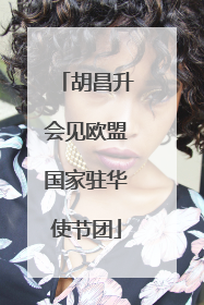 胡昌升会见欧盟国家驻华使节团