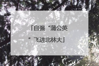 自强“蒲公英”飞进北林大