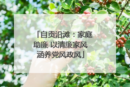 自贡沿滩：家庭助廉 以清廉家风涵养党风政风