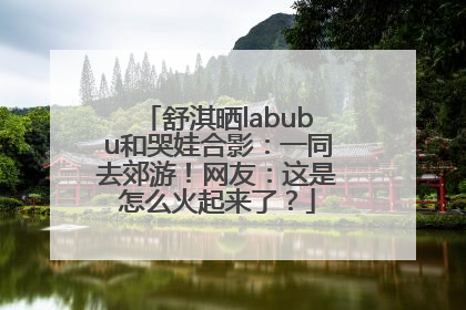 舒淇晒labubu和哭娃合影：一同去郊游！网友：这是怎么火起来了？