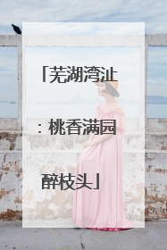 芜湖湾沚：桃香满园醉枝头