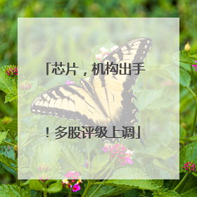 芯片，机构出手！多股评级上调