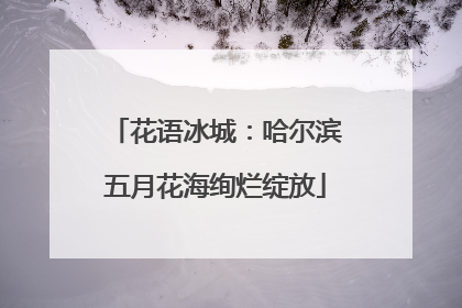 花语冰城：哈尔滨五月花海绚烂绽放