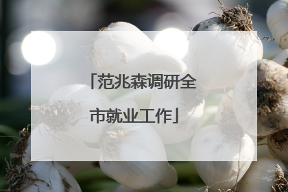 范兆森调研全市就业工作