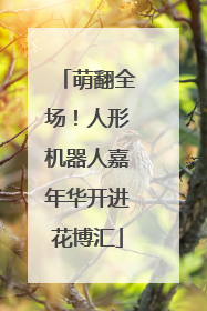 萌翻全场！人形机器人嘉年华开进花博汇
