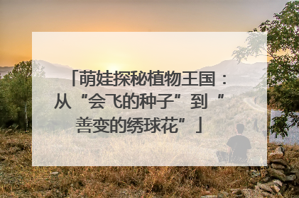 萌娃探秘植物王国：从“会飞的种子”到“善变的绣球花”