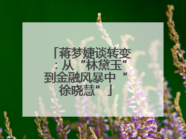 蒋梦婕谈转变：从“林黛玉”到金融风暴中“徐晓慧”