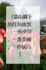 蒙山脚下的红色故事：一所小学、一盏茶碗、一匹病马