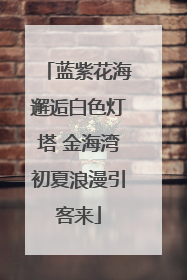 蓝紫花海邂逅白色灯塔 金海湾初夏浪漫引客来