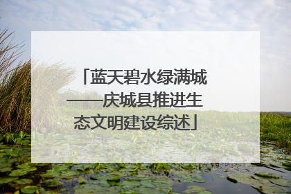 蓝天碧水绿满城——庆城县推进生态文明建设综述