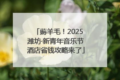 薅羊毛！2025潍坊·新青年音乐节酒店省钱攻略来了
