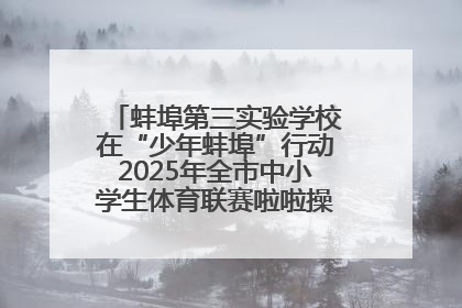 蚌埠第三实验学校在“少年蚌埠”行动2025年全市中小学生体育联赛啦啦操比赛中获佳绩