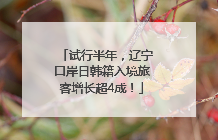 试行半年，辽宁口岸日韩籍入境旅客增长超4成！