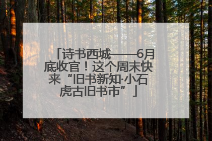 诗书西城——6月底收官！这个周末快来“旧书新知·小石虎古旧书市”