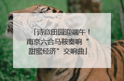 诗意田园迎端午！南京六合马鞍奏响“甜蜜经济”交响曲