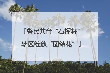 警民共育“石榴籽” 辖区绽放“团结花”