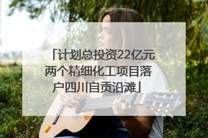 计划总投资22亿元 两个精细化工项目落户四川自贡沿滩