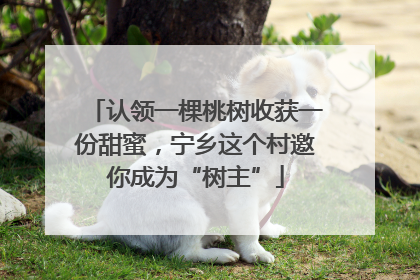 认领一棵桃树收获一份甜蜜，宁乡这个村邀你成为“树主”