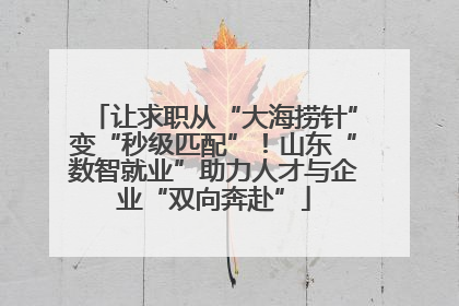 让求职从“大海捞针”变“秒级匹配”！山东“数智就业”助力人才与企业“双向奔赴”