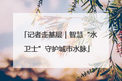 记者走基层｜智慧“水卫士”守护城市水脉