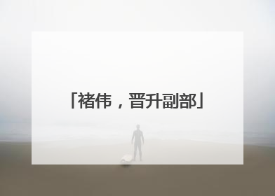 褚伟，晋升副部